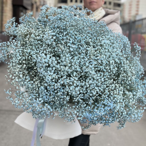 51 голубая гипсофила